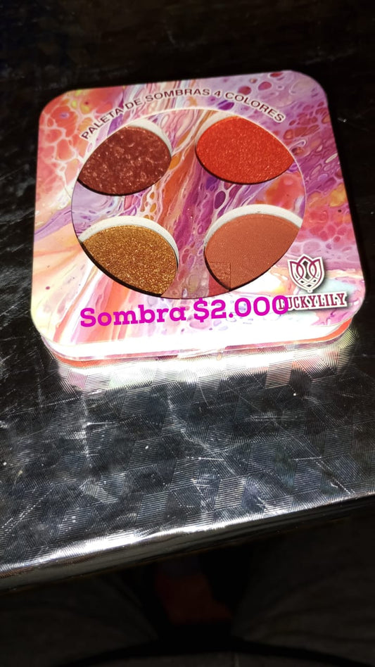 sombra de cartera